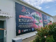 IMG_20260916_161242.jpg
